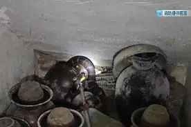 云南一饭店惊现手臂粗的大蛇，在喝腌菜缸里的水……图片