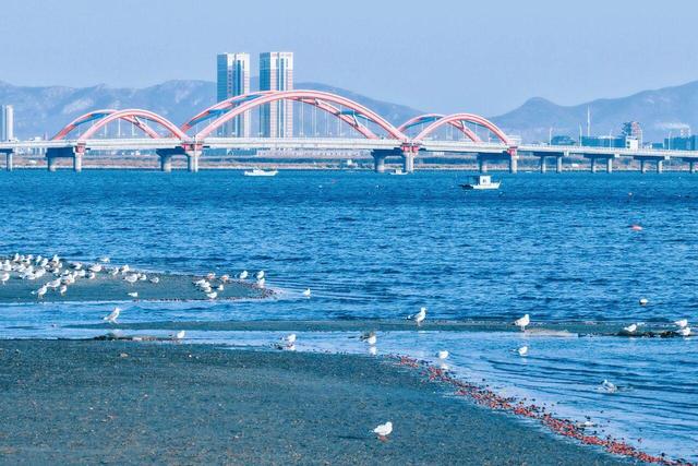 天与海之间的温热休止符：在烟台，泡着温泉看大海
