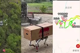 评论丨“华南F3”硬核祭祖何以引关注？图片