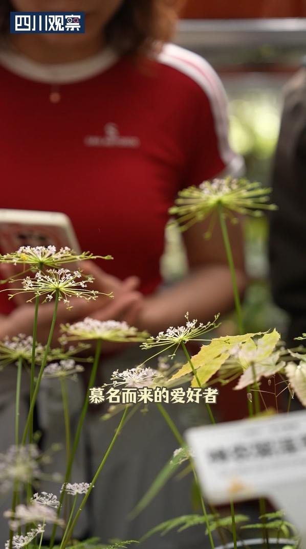 世界地球日丨一对父子与6000平米“植物王国”的17年