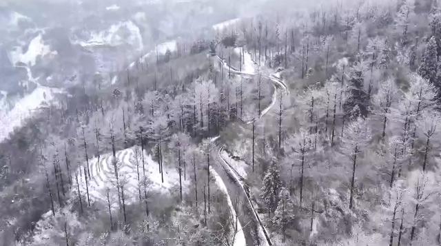浙江超绝雪景大PK 浙江人也有自己的“冰雪大世界”