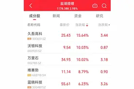 盐湖提锂概念异动，多股拉升！久吾高科回应图片