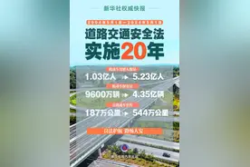 新华鲜报｜与法同行！道路交通安全法实施20年图片