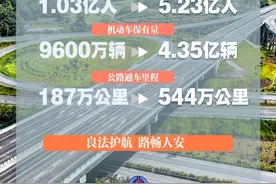 新华鲜报｜与法同行！道路交通安全法实施20年图片