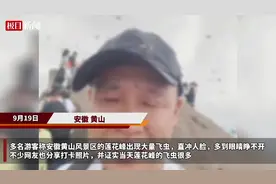 黄山园林部门回应“大量飞虫直冲人脸”：系有翅繁殖蚁群飞，不会咬人图片