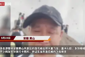 黄山园林部门回应“大量飞虫直冲人脸”：系有翅繁殖蚁群飞，不会咬人图片