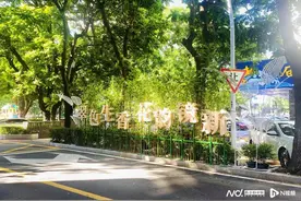 老街区变身新景点，探寻镜新二街的“重生密码”图片