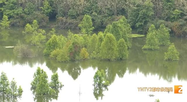 禁止入内，不要游览！昆明这个网红打卡点封闭管理