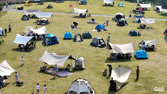 浮山草坪“长”满帐篷，青岛人的国庆浪漫藏在绿意里