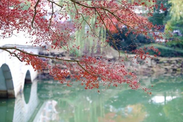 人少景美！洪山5处打卡地，周末约起