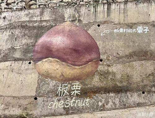 双节长假“寻栗记”
