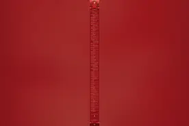 2025年央视春晚节目单图片