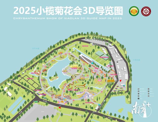 11月28日开幕，2025年小榄菊花会有这些亮点