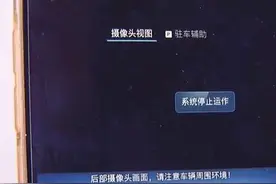 新买的奔驰出现故障十个月修不好 4S店称达不到退换标准图片