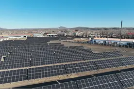 山东率先敲定新能源入市节奏，明后两年新增项目可部分或全电量入市图片