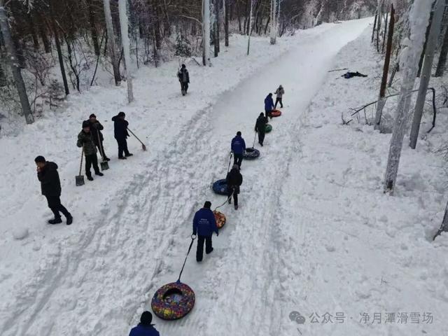 净月潭新地标冲刺收尾！1677米“森林穿越雪飘流”即将开滑！