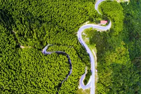 河南商城：路畅业兴促振兴图片
