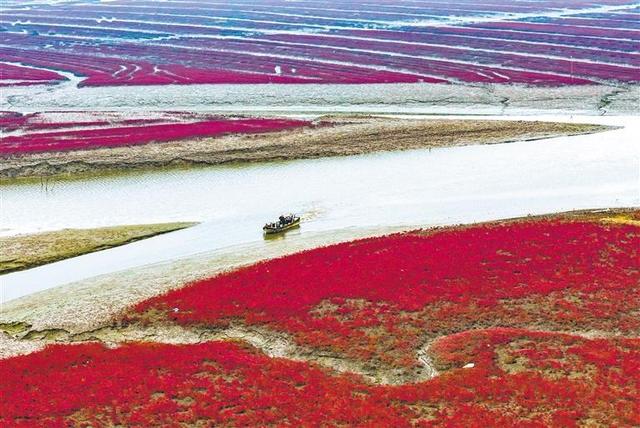 【大美中国】湿地秋色