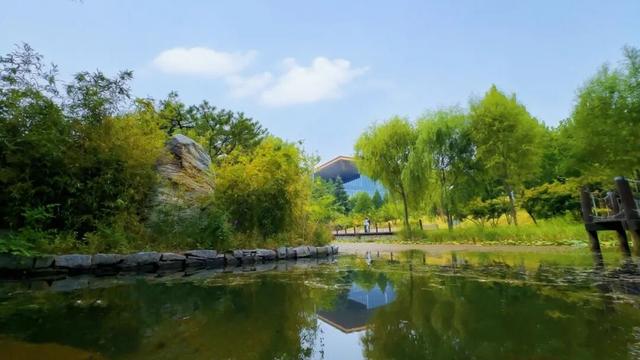 秋意正浓，邂逅浪漫！快来打卡“七站两场”地区的限定秋色