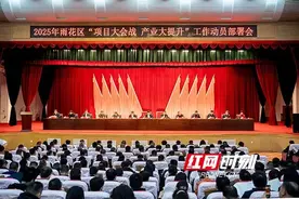 项目！产业！雨花点燃高质量发展“双引擎”……图片