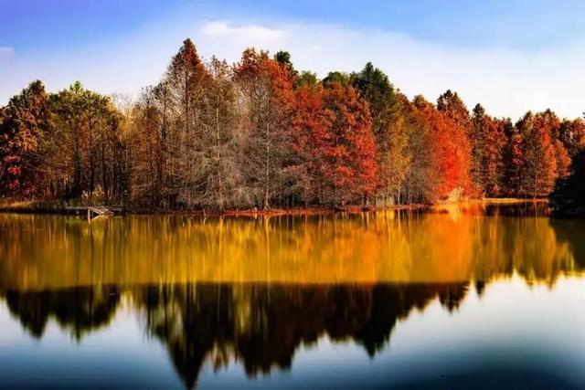 私藏！奉贤的秋，美到封神