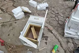 窃贼夜入寄售行盗窃，用垃圾桶运走保险柜图片