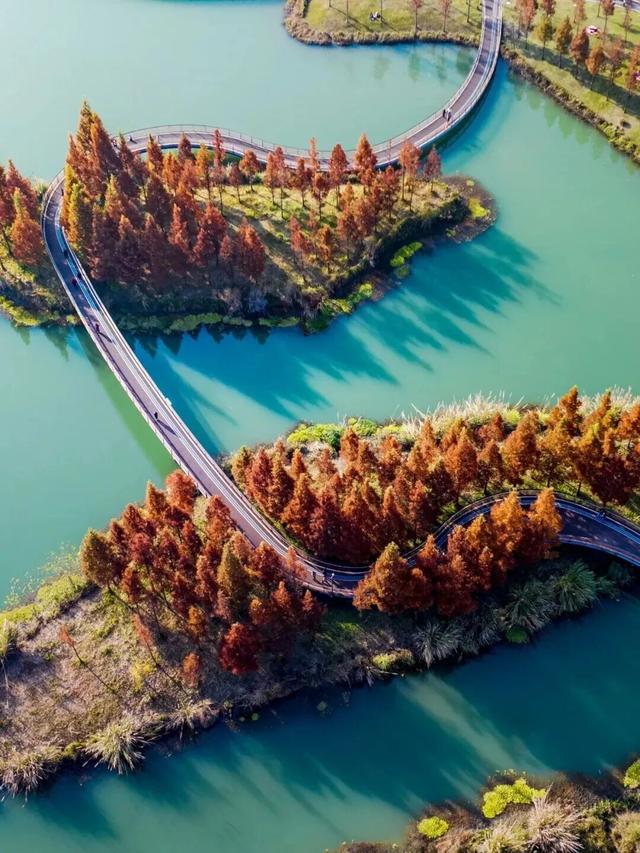 别错过，成都公园里的绝美冬景！