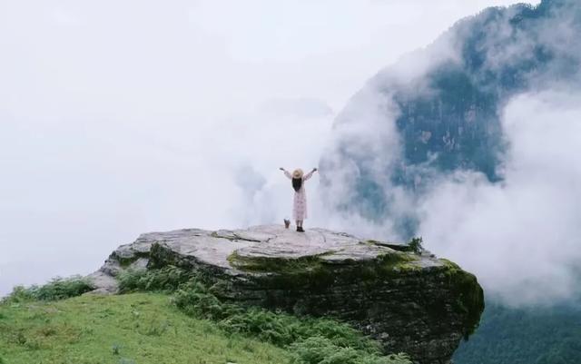 42℃的天往哪儿逃，自然是均温20℃的九龙啦！