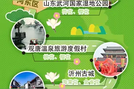 春风十里，花开有期！临沂赏花地图来啦，快来赴一场春日之约图片