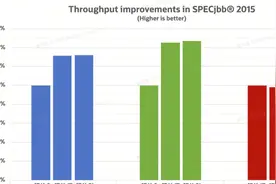 企业级 JDK 升级实战：660 个项目从 JDK8 到 JDK21 的零故障升级之路图片