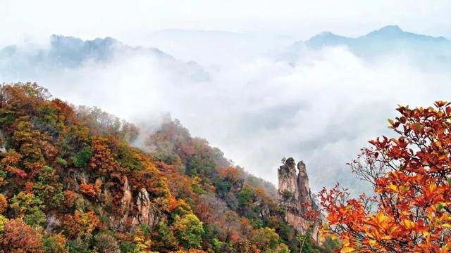 待天晴，看洛阳漫山姹紫嫣红→