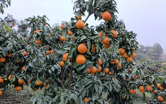 永川“留娃”去处上新→