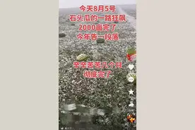 宁夏中卫遭冰雹突袭，硒砂瓜产业受损，瓜农：原来1.6元1斤的瓜，只能4毛出售图片