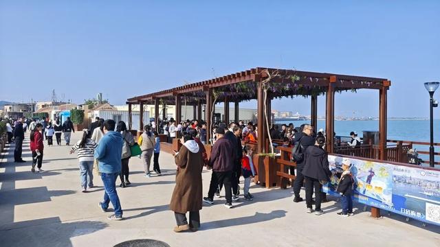 爆火！坐船去红岛，海上穿越跨海大桥，船上赏鸥、赏落日奇景……