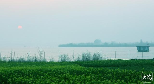 到淮南“小洱海”，赴一场春日与飞鸟的约定