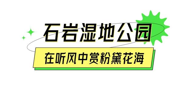 我的宝藏城区：宝安十一假期打卡不完全攻略