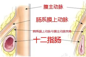 健康知识多一点293图片