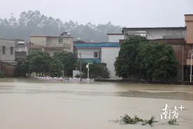 佛冈龙山获评省气象防灾减灾第一道防线建设先行镇图片