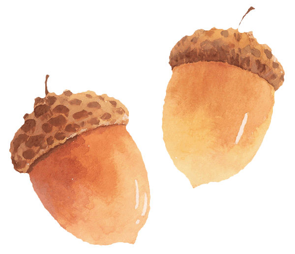 在济宁，我决定开始狠狠爱“老己”