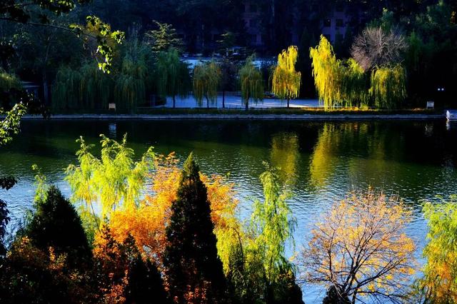 不必扎堆地坛公园！东城区赏秋攻略，一图收藏