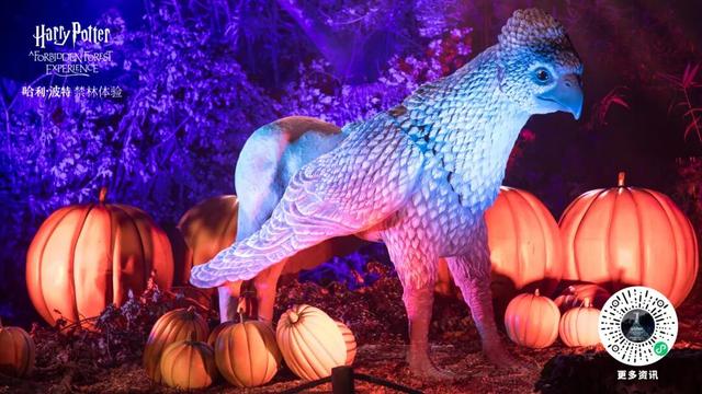 直降70元！龙华这片魔法森林焕新升级