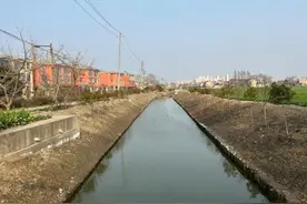刁铺街道环溪社区：让河水变清，让河岸变绿，让百姓舒心图片