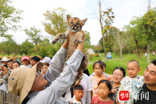 双园迎客超 20 万人次！南通森迪度假区：以温暖相遇点亮江浙沪亲子假期
