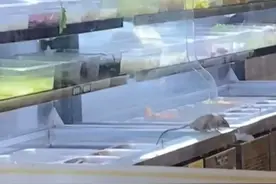 惊现老鼠，全部下架！知名品牌突然被曝图片
