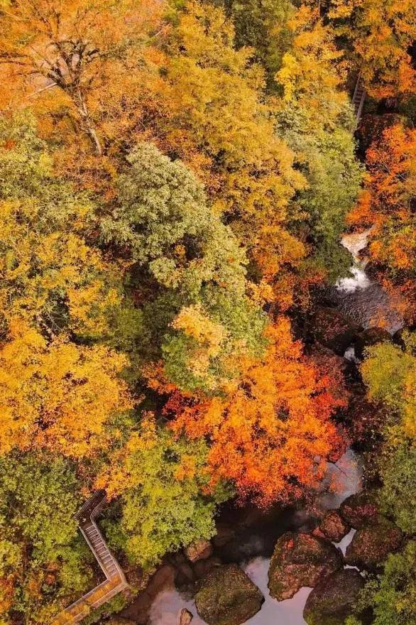 四川太宠粉啦~🤭“川超”门票免费游景区,你用过吗?