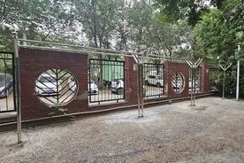 居民大树上拉绳晾衣被煞风景，社区设公共晾晒杆解难题图片