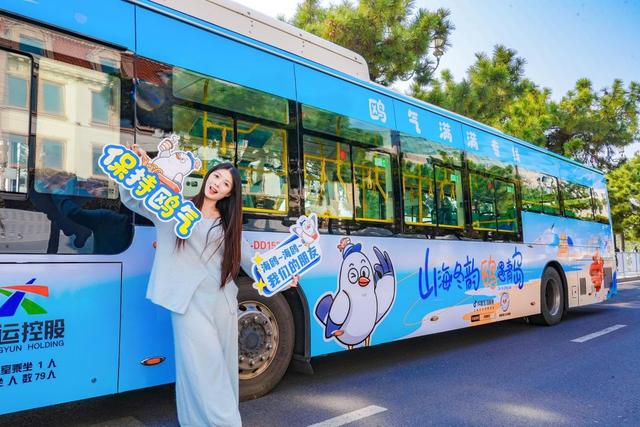 山海冬韵・鸥遇青岛 | “上天入海”场景联动，市南邀您开启鸥遇之旅