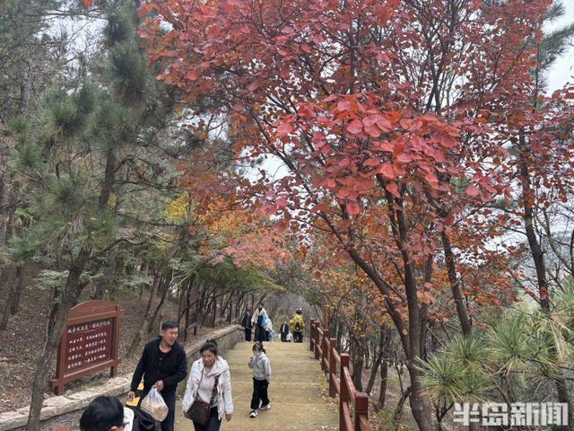 登山路上，秋意十足