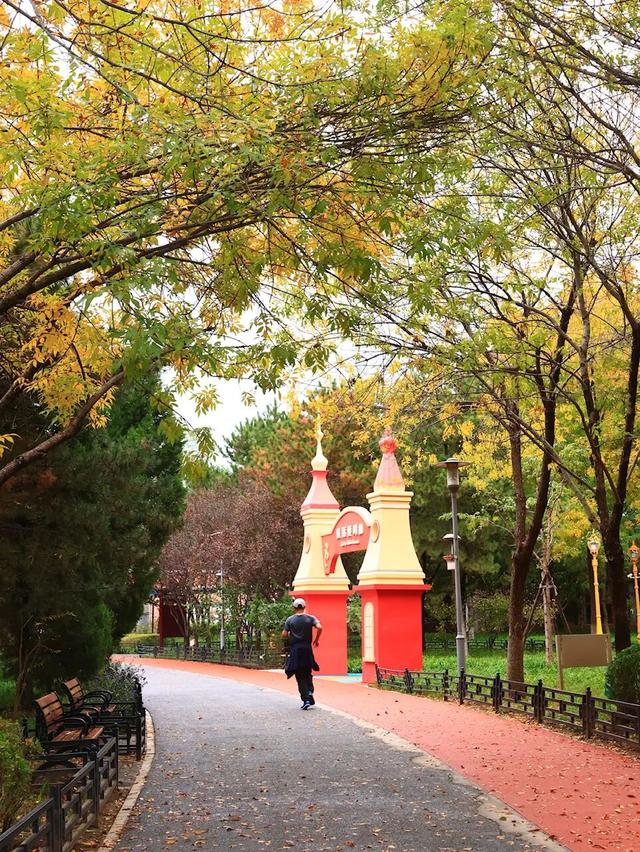 邂逅初冬，大兴6条宝藏慢跑路线请收好