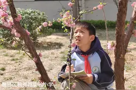 惠济区毓秀路实验小学开展制作花朵标本活动图片